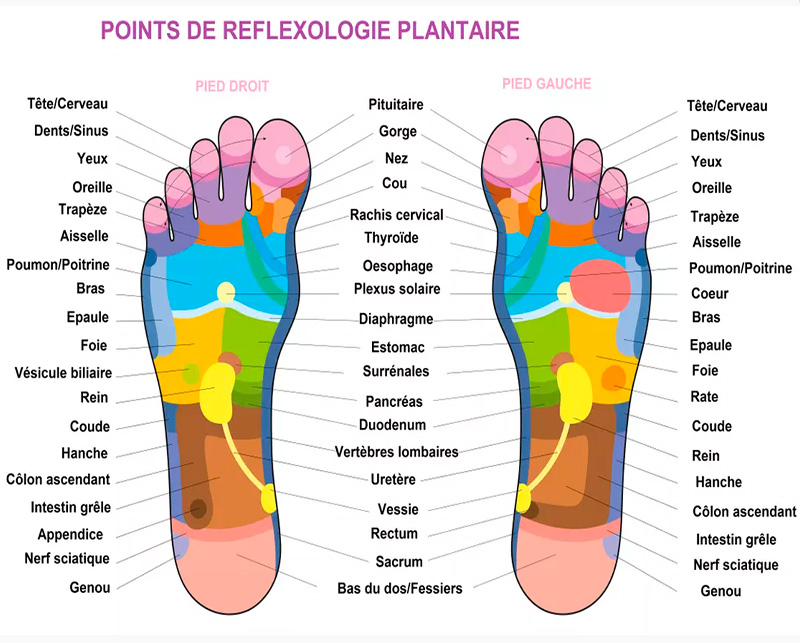 schéma de points de réflexologie plantaire